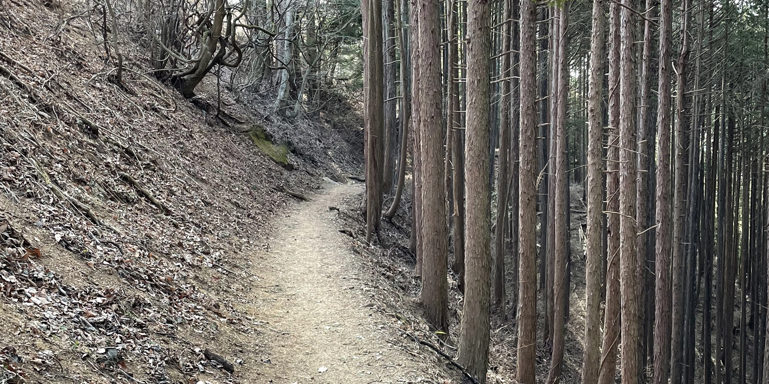 日の出山山道01