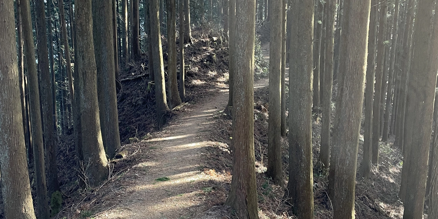 日の出山山道02