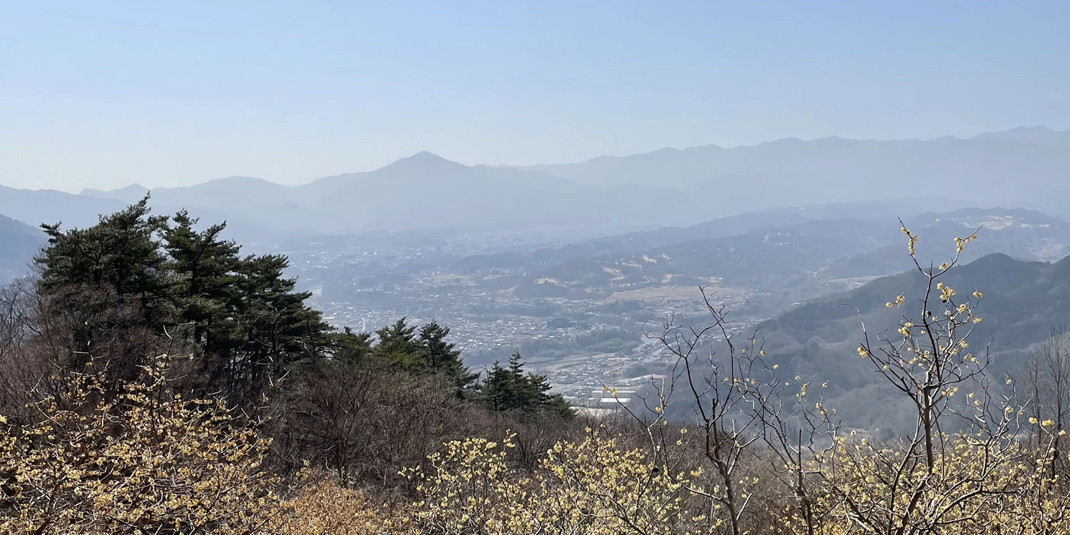 宝登山山頂