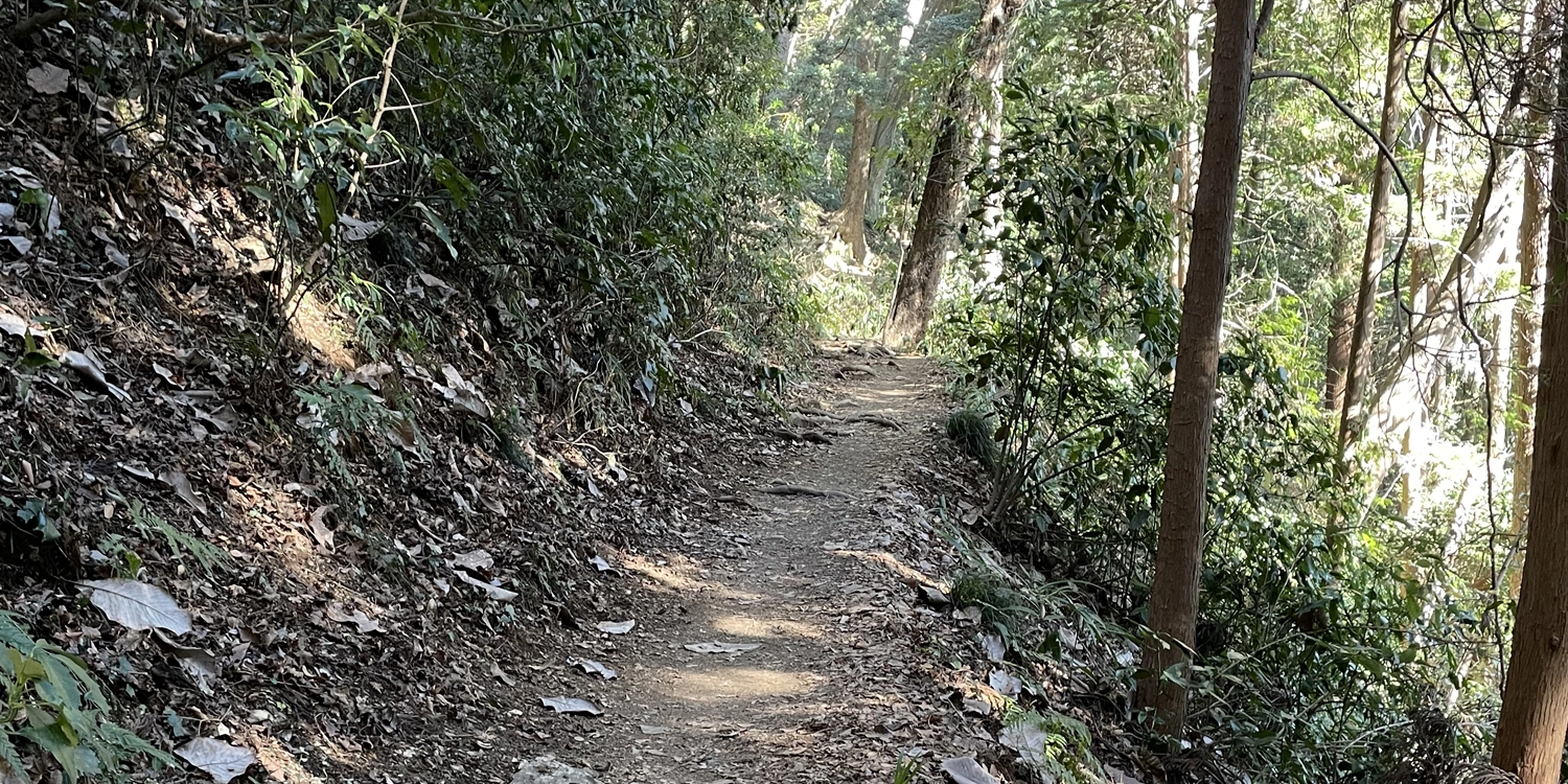 高尾山3号路