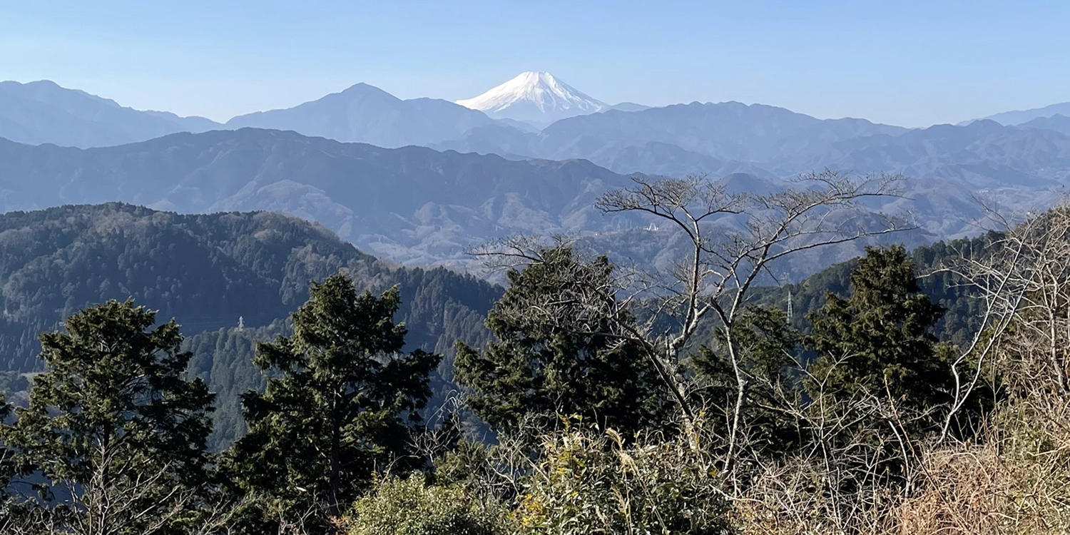 高尾山富士山